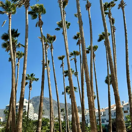 Lejlighed Buenavista Torviscas Costa Adeje (Tenerife)