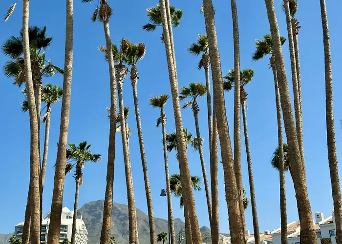 Lägenhet Buenavista Torviscas Costa Adeje (Tenerife)